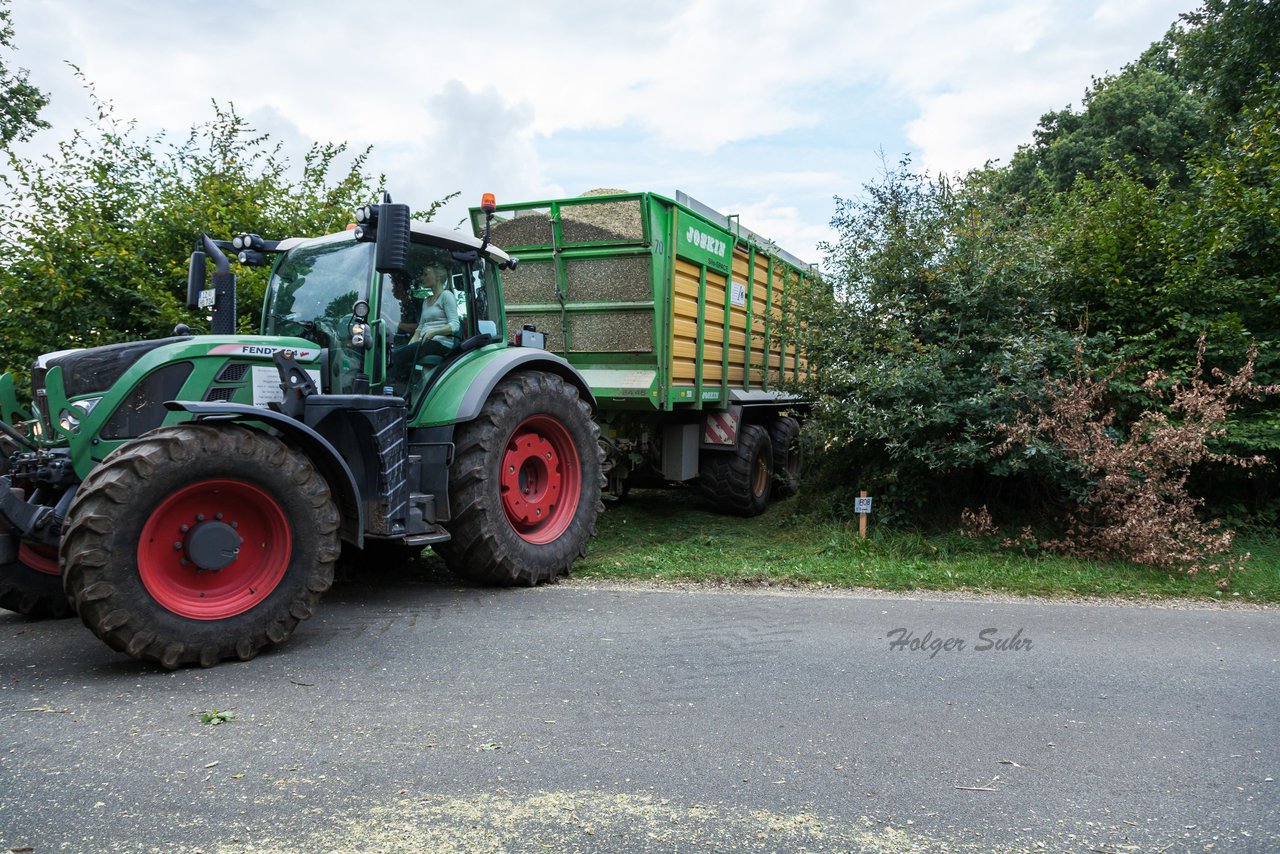 Album: Maisernte u Biogas am 1.10.16 - 
